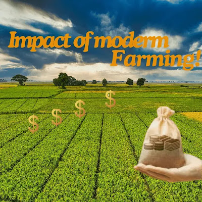 Money-Making Tips for Farmers
